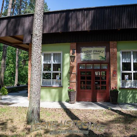 Willa Leśne Ustronie Byslaw Zewnętrze zdjęcie