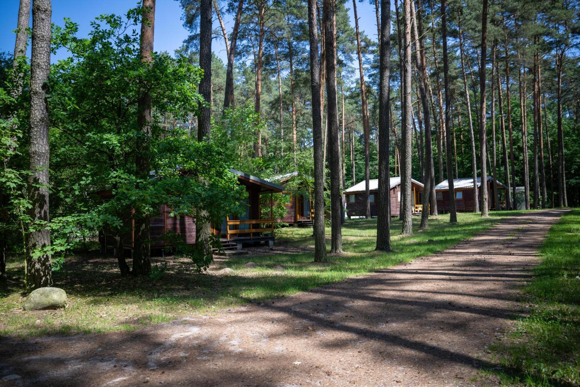 Willa Leśne Ustronie Byslaw Zewnętrze zdjęcie